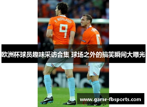 欧洲杯球员趣味采访合集 球场之外的搞笑瞬间大曝光