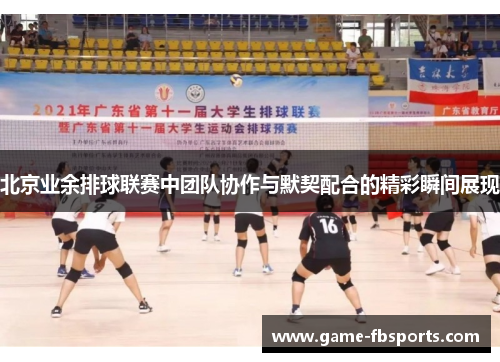 北京业余排球联赛中团队协作与默契配合的精彩瞬间展现