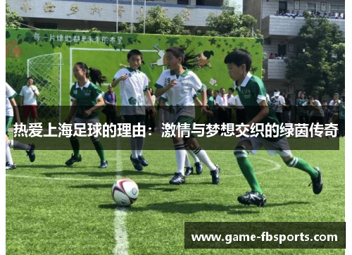 热爱上海足球的理由：激情与梦想交织的绿茵传奇