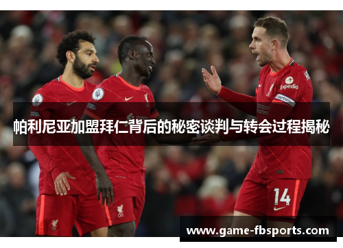 帕利尼亚加盟拜仁背后的秘密谈判与转会过程揭秘